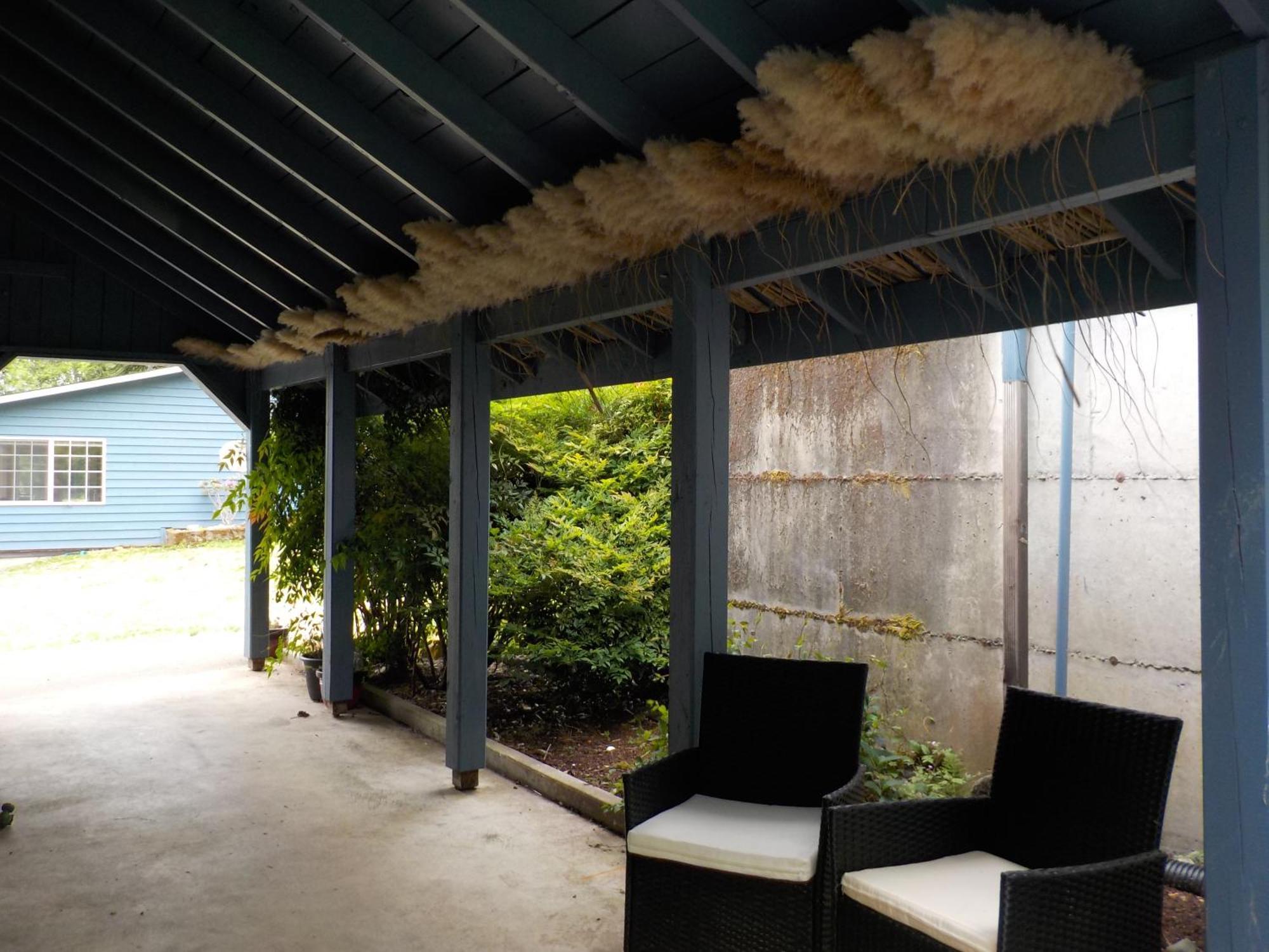 Oceanfront Studio/Loft: Alpacas, Oysters & Kayaks Shelton Exterior foto